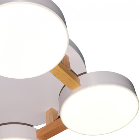 Накладные светильники — Накладной светильник Natali Kovaltseva LED LAMPS 81325 купить в  Накладные светильники — Накладной светильник Natali Kovaltseva LED LAMPS 81325 купить в
