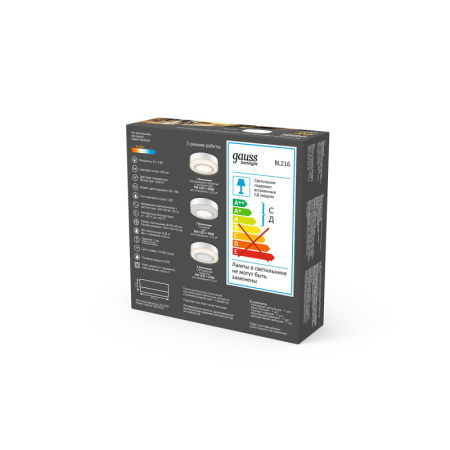 Накладные точечные светильники — Накладной светильник Gauss BL216 купить в 