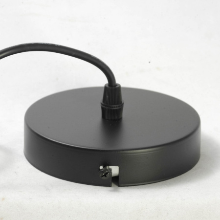 Подвесные светильники — Подвесной светильник Lussole LSP-8031 купить в 