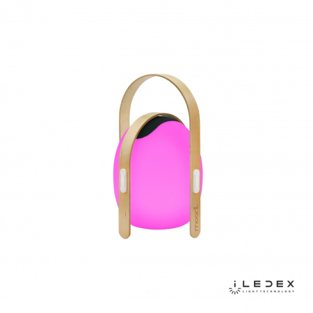 Свет для дома — Настольный светильник iLedex Giggle OVS0990-CH WH купить в  Свет для дома — Настольный светильник iLedex Giggle OVS0990-CH WH купить в