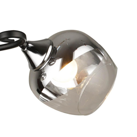 Потолочные люстры — Потолочная люстра Seven Fires Совер 66371.01.13.02 купить в  Потолочные люстры — Потолочная люстра Seven Fires Совер 66371.01.13.02 купить в