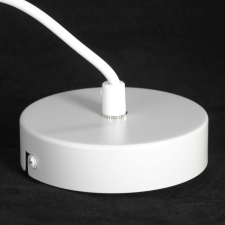 Подвесные светильники — Подвесной светильник Lussole LSP-8417 купить в 