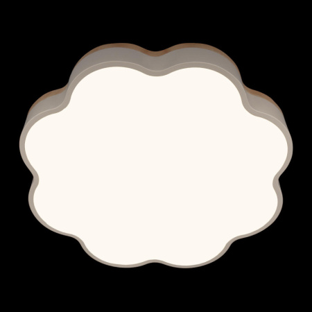 Накладные светильники — Накладной светильник LOFT IT 10225/36 White купить в 