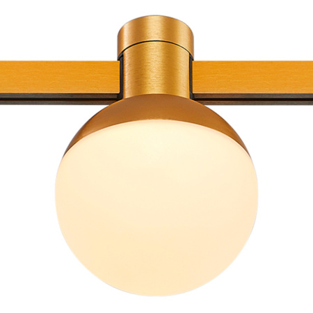 Трековые светильники — Светильник на шине ST-Luce ST815.206.05 купить в 