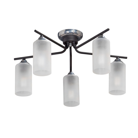 Люстры накладные — Накладная люстра Vitaluce V4753-1/5PL купить в  Люстры накладные — Накладная люстра Vitaluce V4753-1/5PL купить в