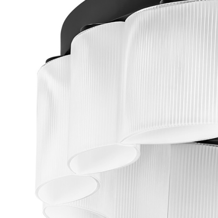 Люстры подвесные — Подвесная люстра Lightstar 812186 купить в  Люстры подвесные — Подвесная люстра Lightstar 812186 купить в