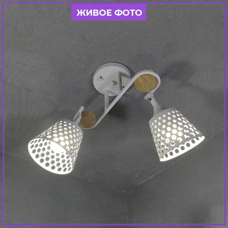 Потолочные люстры — Потолочная люстра Seven Fires Karel SF3326/2C-WT-WD купить в 