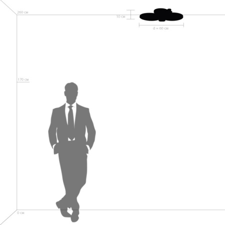 Накладные светильники — Накладной светильник Lightstar 749082 купить в  Накладные светильники — Накладной светильник Lightstar 749082 купить в