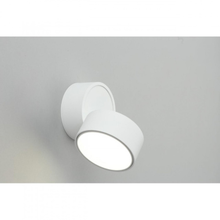 Накладные точечные светильники — Накладной светильник Omnilux OML-101309-12 купить в  Накладные точечные светильники — Накладной светильник Omnilux OML-101309-12 купить в