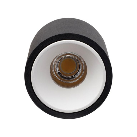 Накладные точечные светильники — Накладной светильник LeDron RINBOK Black/White купить в  Накладные точечные светильники — Накладной светильник LeDron RINBOK Black/White купить в