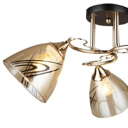 Потолочные люстры — Потолочная люстра Seven Fires Альбарето 66287.01.69.03 купить в 