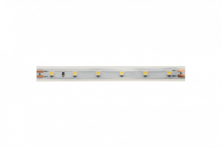Светодиодные ленты — Лента DesignLed DSG360-24-W-65 купить в 