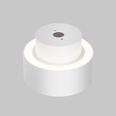 Накладные светильники — Накладной светильник Maytoni Technical C092CL-GX53-W купить в 