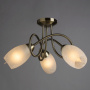 Люстры накладные — Накладная люстра ARTE Lamp A8616PL-3AB купить в  Люстры накладные — Накладная люстра ARTE Lamp A8616PL-3AB купить в