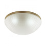 Накладные светильники — Накладной светильник Odeon Light 4936/3C купить в 