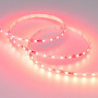 Светодиодные ленты — Лента Arlight 030195(2) купить в  Светодиодные ленты — Лента Arlight 030195(2) купить в