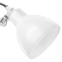 Настольные лампы — Настольная лампа Lightstar 865916 купить в  Настольные лампы — Настольная лампа Lightstar 865916 купить в