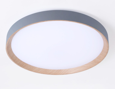 Накладные светильники — Накладной светильник Ambrella Light FZ1322 купить в 