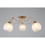Люстры накладные — Накладная люстра Omnilux OML-24907-03 купить в  Люстры накладные — Накладная люстра Omnilux OML-24907-03 купить в