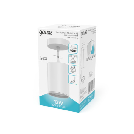 Подвесные светильники — Подвесной светильник Gauss HD044 купить в 