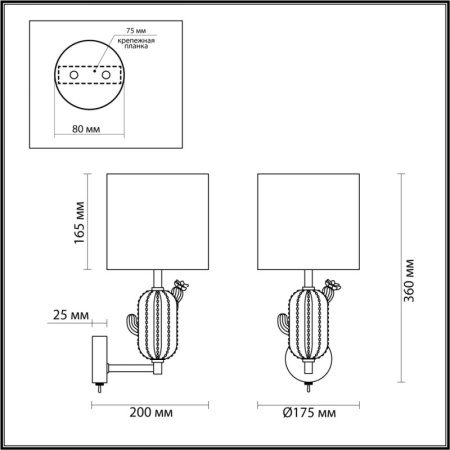 Настенные бра — Бра Odeon Light 5425/1W купить в  Настенные бра — Бра Odeon Light 5425/1W купить в