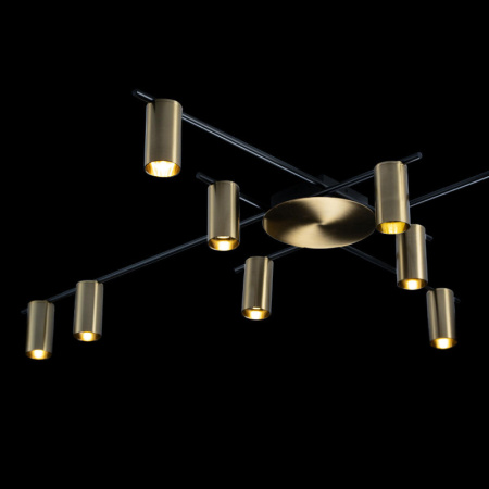 Люстры накладные — Накладная люстра LOFT IT 8120C-10 купить в 