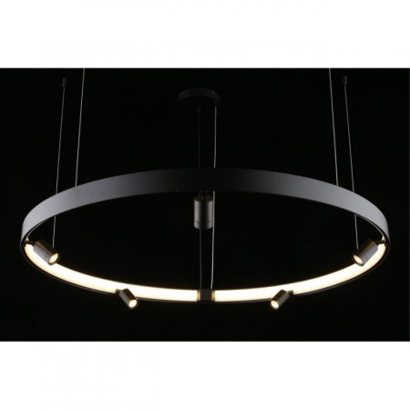 Люстры подвесные — Подвесная люстра APLOYT APL.041.13.75 купить в 