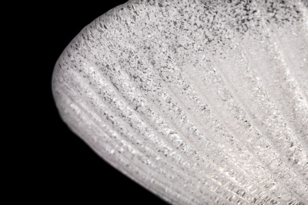 Накладные светильники — Накладной светильник Maytoni C809CL-04CH купить в 