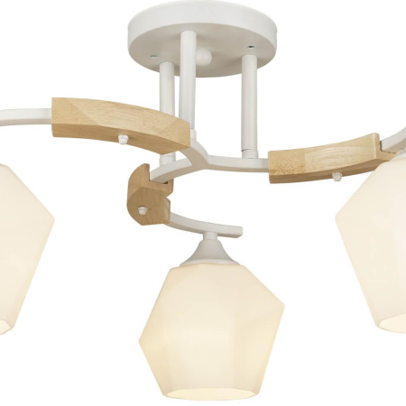 Потолочные люстры — Потолочная люстра Seven Fires Lalio 66587.01.09.03 купить в  Потолочные люстры — Потолочная люстра Seven Fires Lalio 66587.01.09.03 купить в