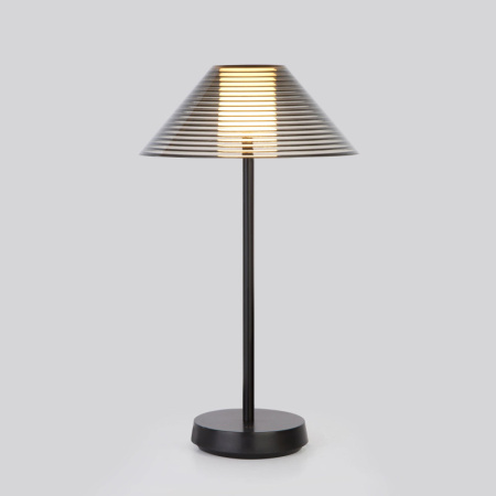 Настольные лампы — Настольная лампа Elektrostandard Mistery чёрный (TL70210) купить в 