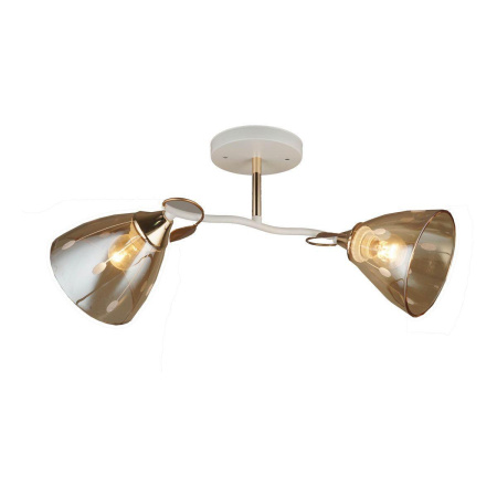 Люстры на штанге — Потолочная люстра Milosh Tendence 0723CL-2WH купить в  Люстры на штанге — Потолочная люстра Milosh Tendence 0723CL-2WH купить в