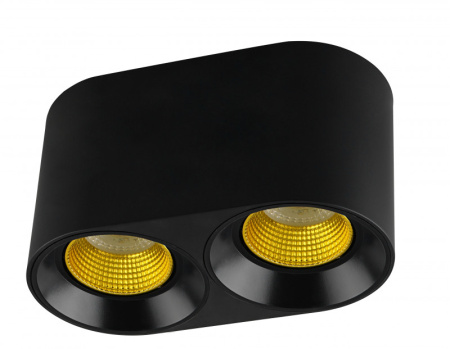Накладные точечные светильники — Накладной светильник Denkirs DK3096-BK+YE купить в 