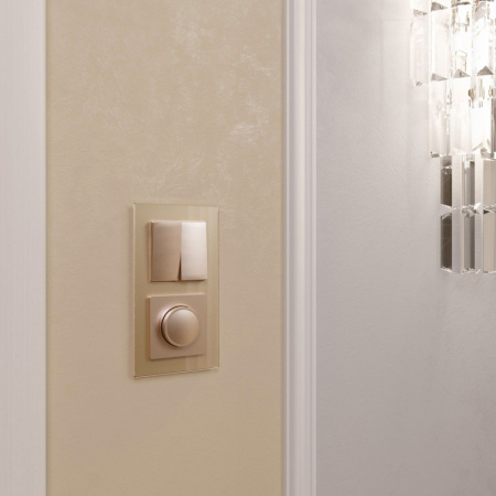 Диммеры — Диммеры Werkel W1142011 купить в 