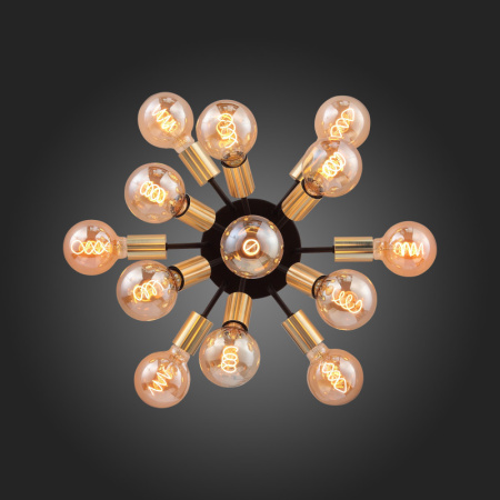 Люстры накладные — Накладная люстра ST-Luce SL437.402.13 купить в 