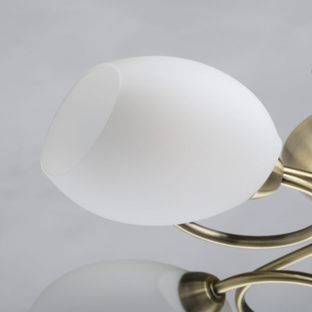 Люстры накладные — Накладная люстра MW-Light 267011805 купить в  Люстры накладные — Накладная люстра MW-Light 267011805 купить в