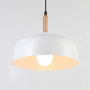 Подвесные светильники — Подвесной светильник Moderli Moderli V1270-1P Augustina 1*E27*60W подвесной купить в  Подвесные светильники — Подвесной светильник Moderli Moderli V1270-1P Augustina 1*E27*60W подвесной купить в