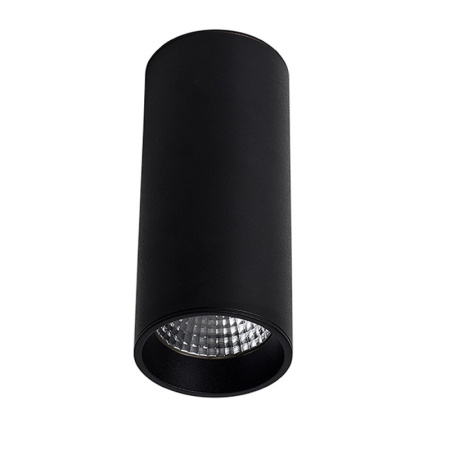 Накладные точечные светильники — Накладной светильник LeDron SLC7392/12W-B купить в  Накладные точечные светильники — Накладной светильник LeDron SLC7392/12W-B купить в