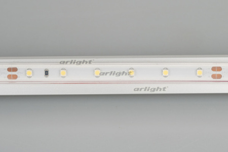 Светодиодные ленты — Лента Arlight 024562(2) купить в  Светодиодные ленты — Лента Arlight 024562(2) купить в