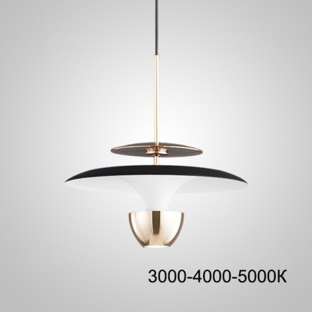 Подвесные светильники — Подвесной светильник ImperiumLoft 232158-23 купить в 