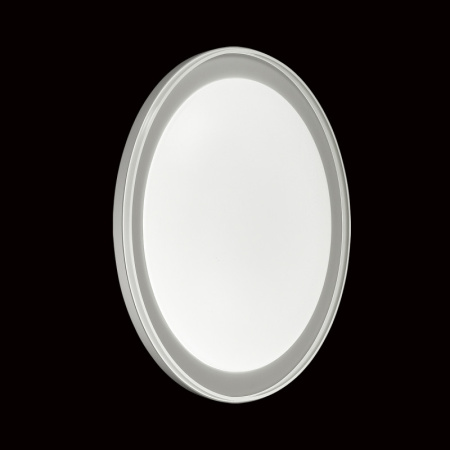 Накладные светильники — Накладной светильник Sonex 2049/DL купить в  Накладные светильники — Накладной светильник Sonex 2049/DL купить в