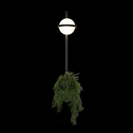 Настенные бра — Бра LOFT IT 10121W/B купить в 