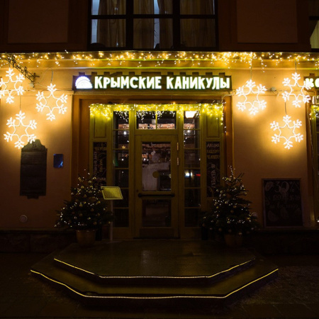 Светодиодные фигуры — Светодиодная фигура Neon-Night 501-324 купить в 