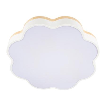 Накладные светильники — Накладной светильник LOFT IT 10225/36 White купить в 