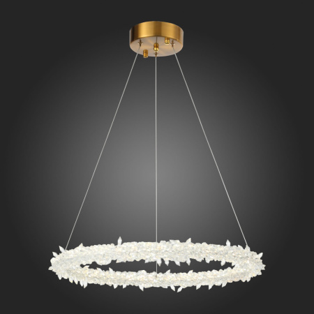 Люстры подвесные — Подвесная люстра ST-Luce SL6105.203.01 купить в 