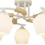 Потолочные люстры — Потолочная люстра Seven Fires Lalio 66587.01.09.05 купить в  Потолочные люстры — Потолочная люстра Seven Fires Lalio 66587.01.09.05 купить в