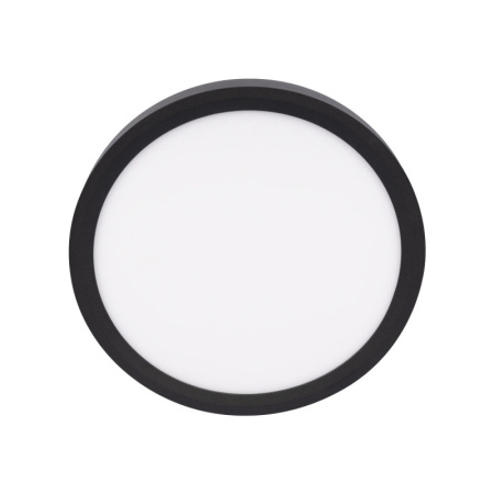 Накладные светильники — Накладной светильник LOFT IT 10227/24 Black купить в 