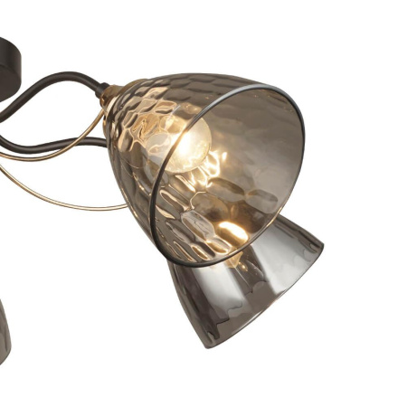 Потолочные люстры — Потолочная люстра Seven Fires Livorno 66659.01.15.05 купить в 