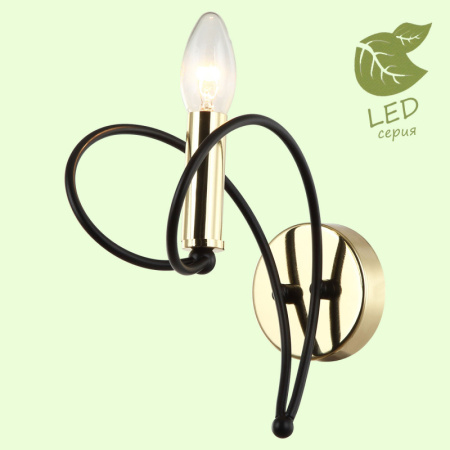 Настенные бра — Бра Lussole GRLSP-8192 купить в 