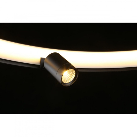 Люстры подвесные — Подвесная люстра APLOYT APL.041.13.50 купить в 