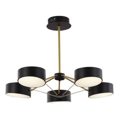 Люстры на штанге — Люстра на штанге Evoluce SLE6005-402-05 купить в  Люстры на штанге — Люстра на штанге Evoluce SLE6005-402-05 купить в